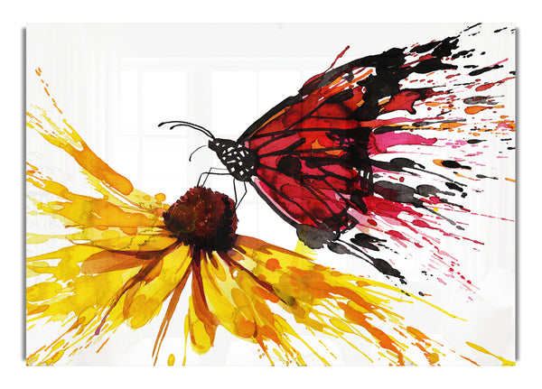 Schmetterlingsblume