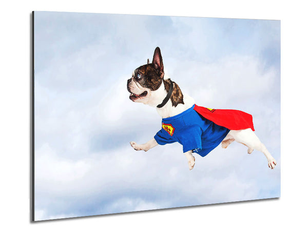 Super Dog Skies Metal Print