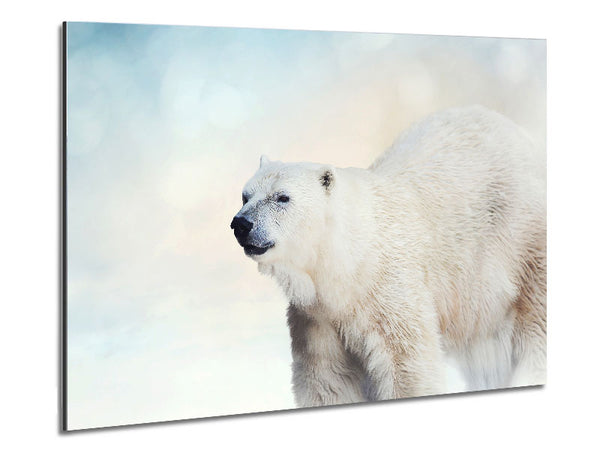 Polar Bear Wonder Metal Print