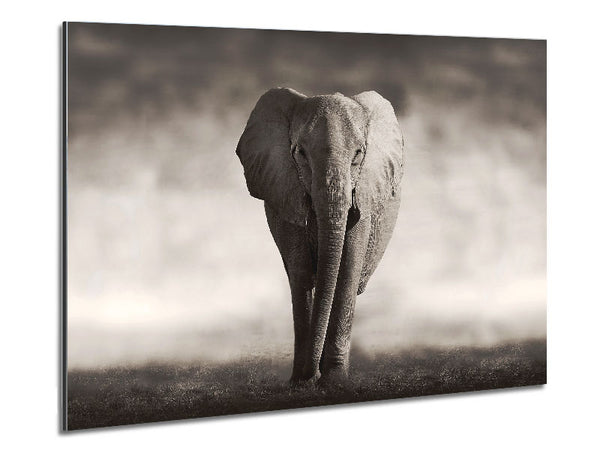 Lonesome Elephant Metal Print