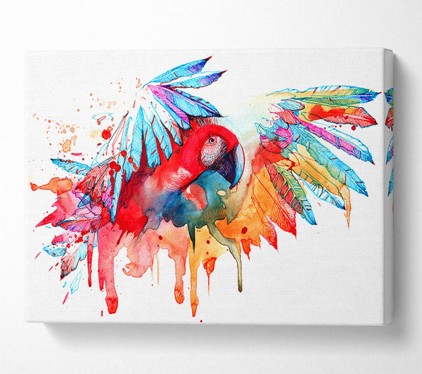  A Canvas Print of Colourful Parrot Canvas Print