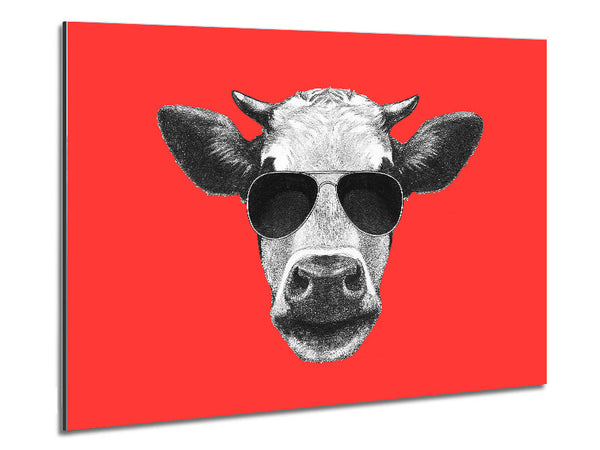 Mafia Cow Metal Print