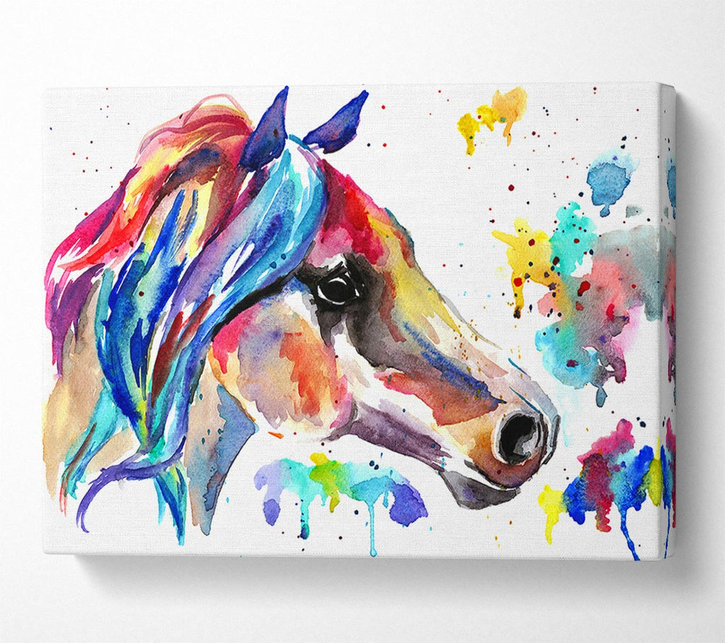 Picture of Rainbow Horse Canvas Print Wall Art