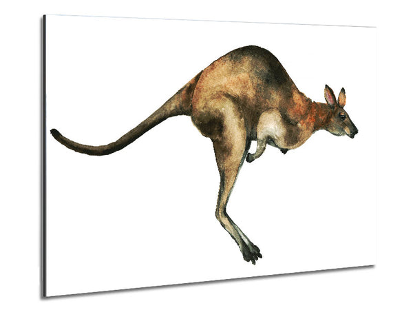 Kangaroo Hop Metal Print