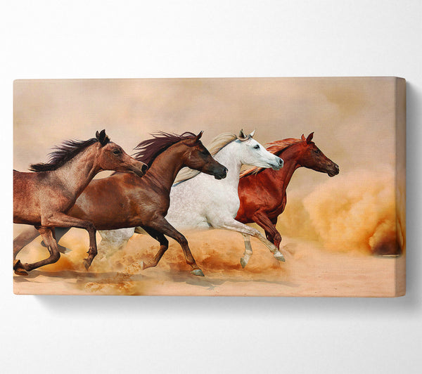 Pferdestampede