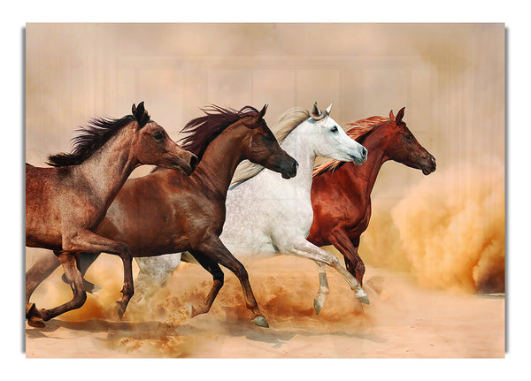 Pferdestampede