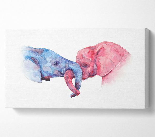Elefantenrüssel-Liebe