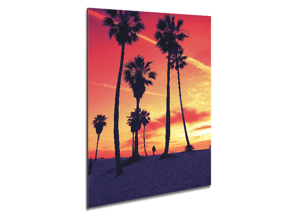 Palmenspaziergang in Los Angeles
