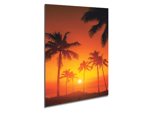 Stunning California Sunset Metal Print