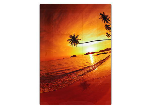 Ocean Sunset Palm