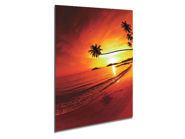 Ozean Sonnenuntergang Palme