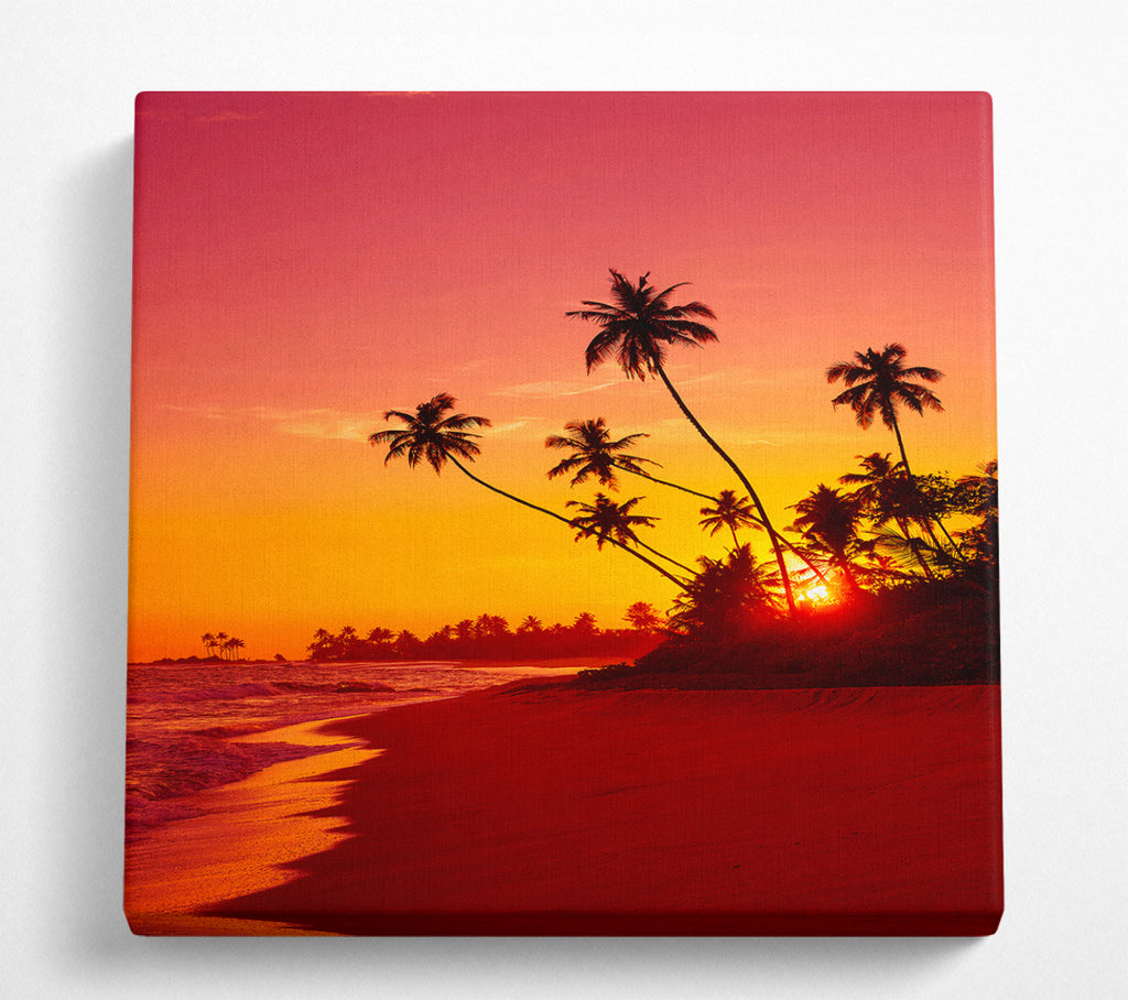 A Square Canvas Print Showing As The Sun Sets Under The Palm Trees Square Wall Art