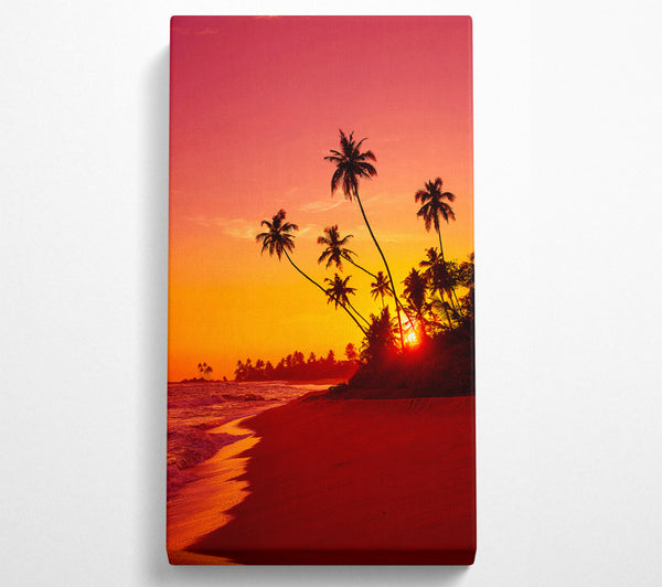 As The Sun Sets Under The Palm Trees