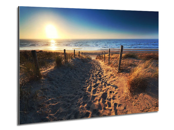Trip To Paradise Metal Print