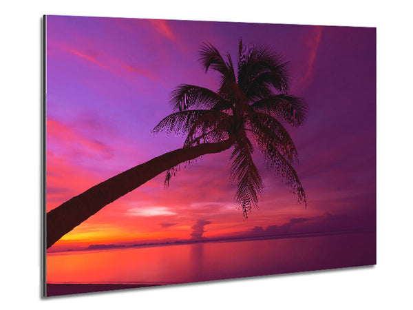 Palmenhimmel