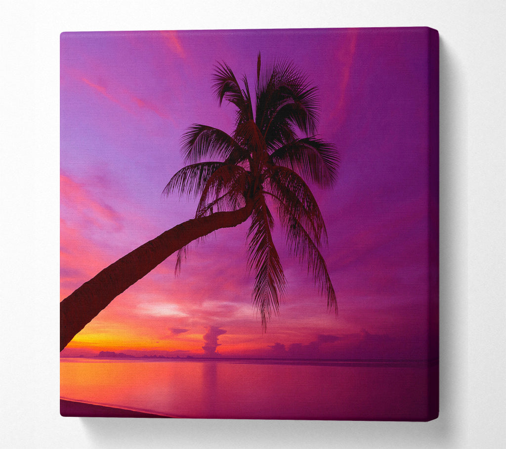 A Square Canvas Print Showing Palm Tree Skies Square Wall Art