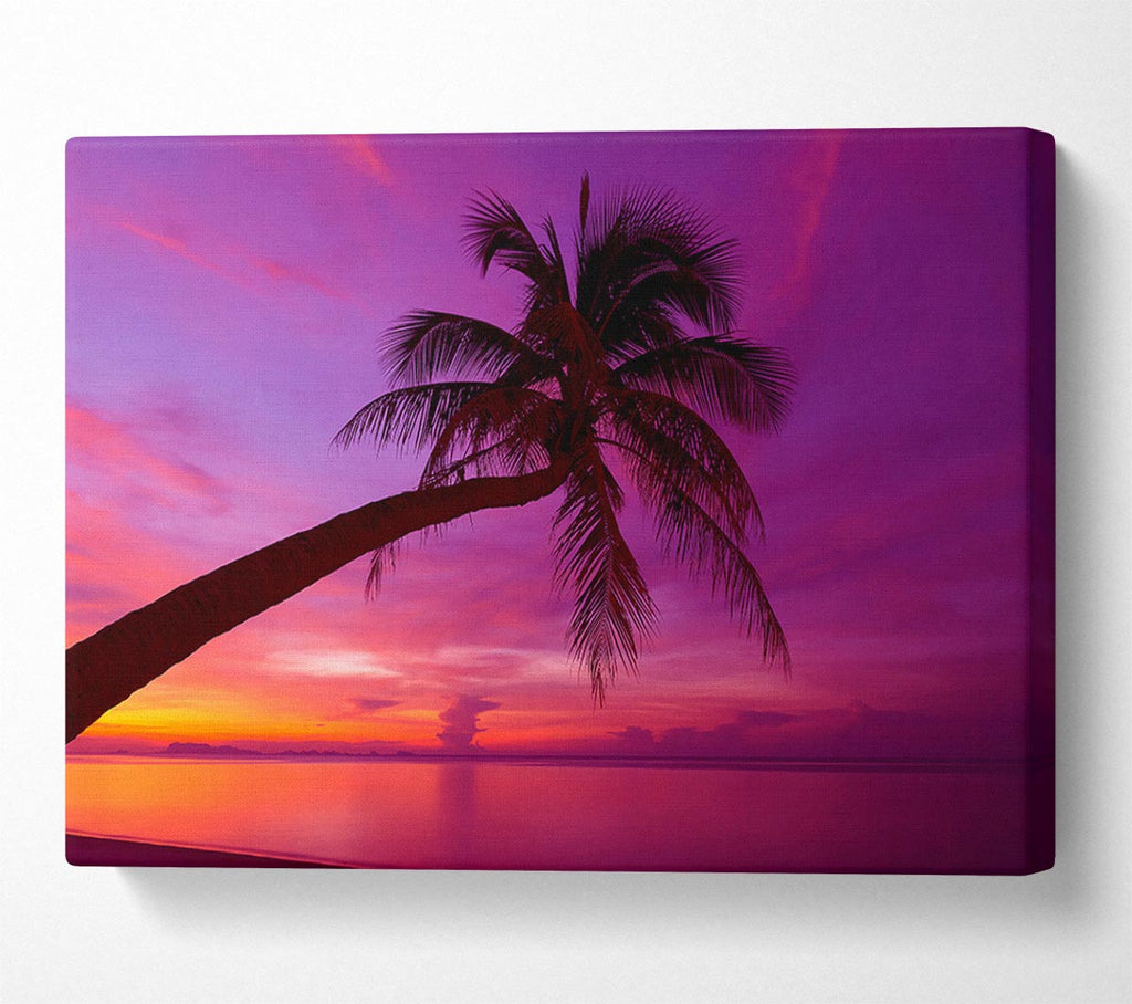 Picture of Palm Tree Skies Canvas Print Wall Art