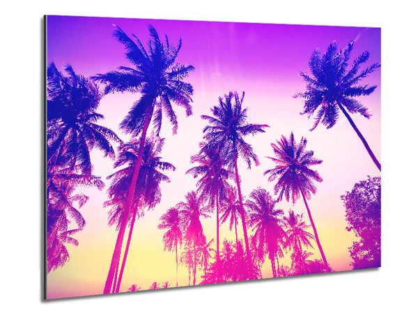Psychedelischer Palmenhimmel