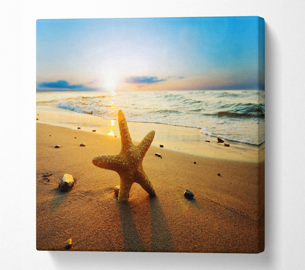 A Square Canvas Print Showing Starfish Sun Glow Square Wall Art