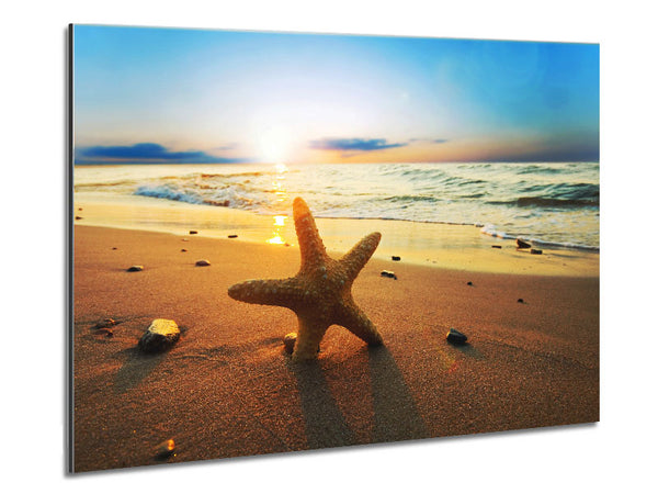 Starfish Sun Glow Metal Print