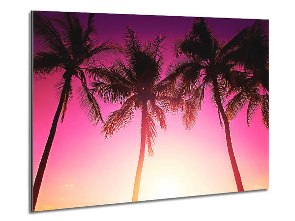 Los Angeles Sunset Palms