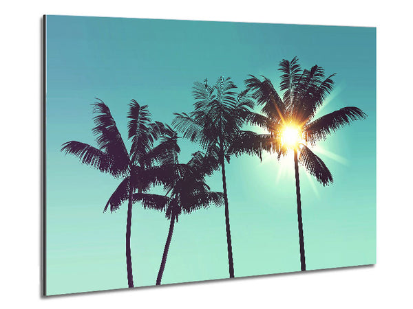 Sun Through The Palm Tree Skies Metal Print