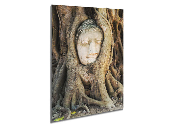 Buddha 30 Metal Print