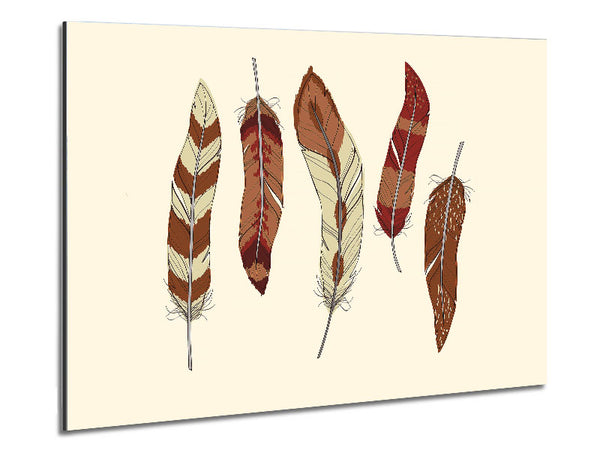 Red Indian Feathers Metal Print