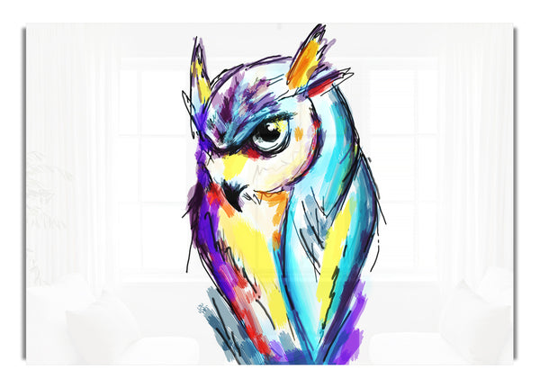Regenbogen-Eule