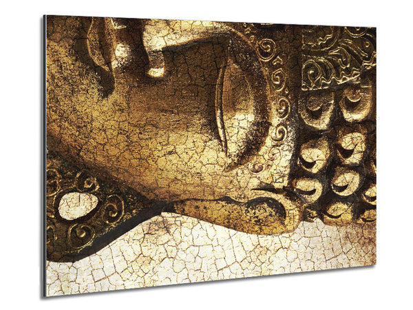 Buddha 24 Metal Print
