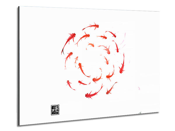 Koi-Fische im Kreislauf des Lebens