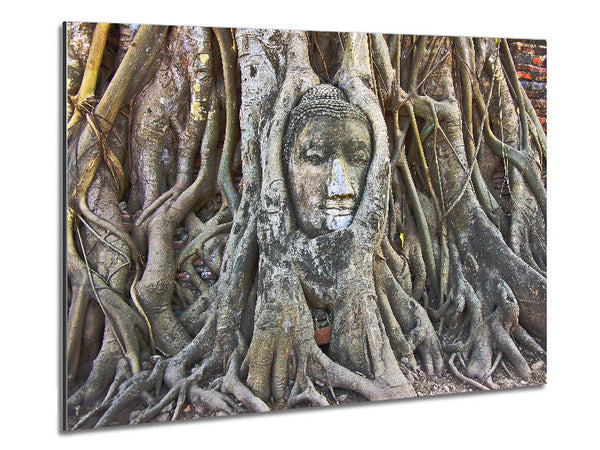 Buddha 21 Metal Print
