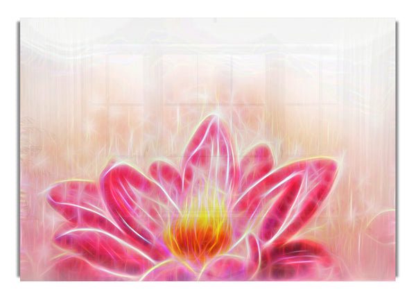 The Energy Of A Lotus Flower