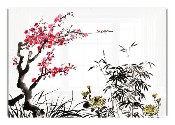 Chinesische Kirschblütengräser