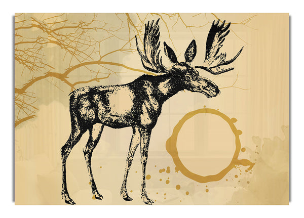 Elch in der goldenen SonneA