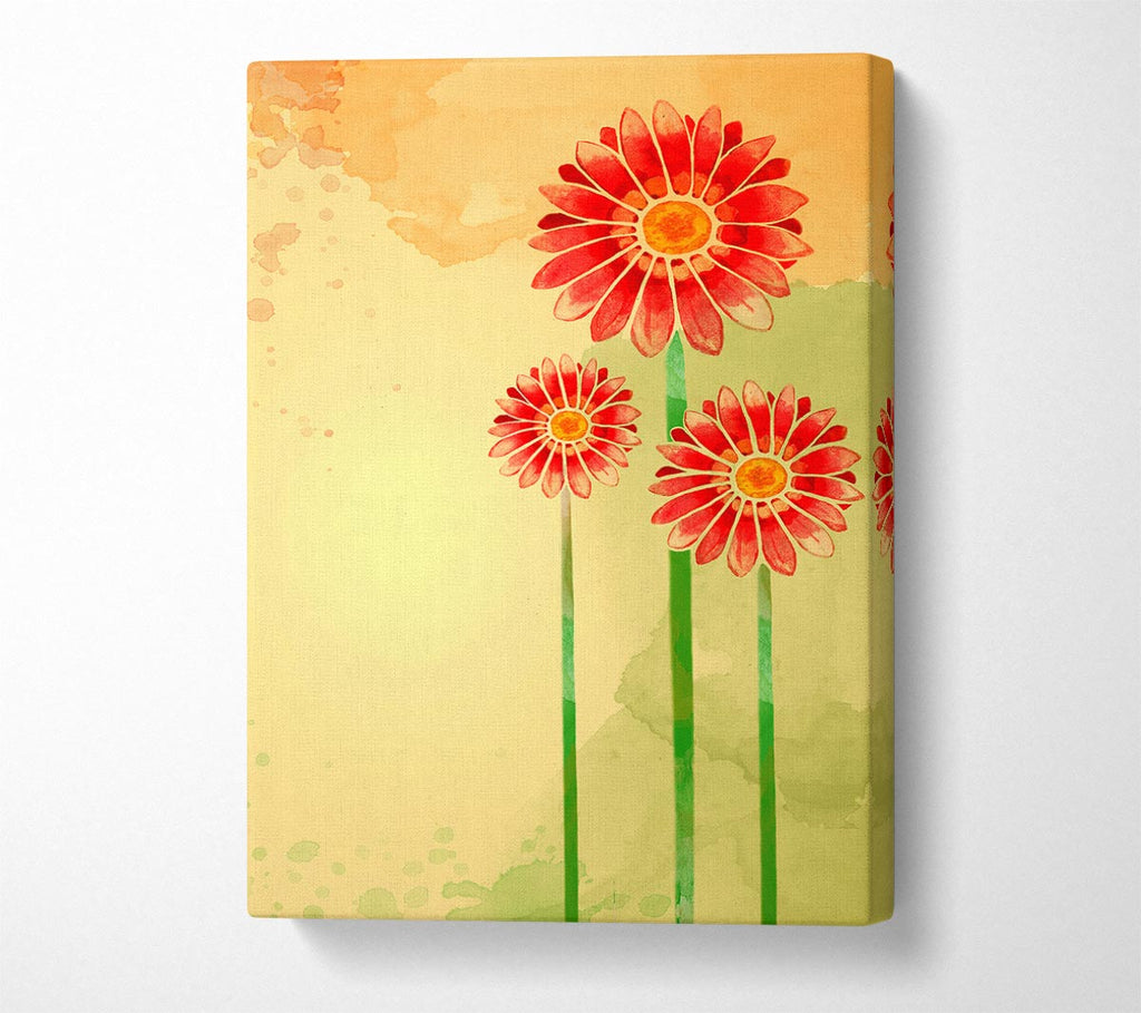 Picture of Trio Of Daisies Canvas Print Wall Art