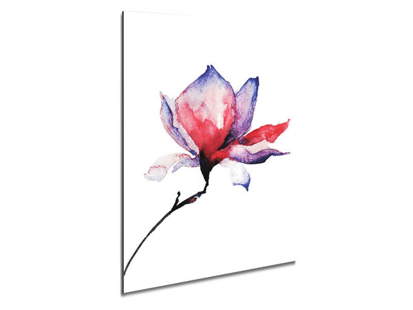 Kurz vor der Blüte