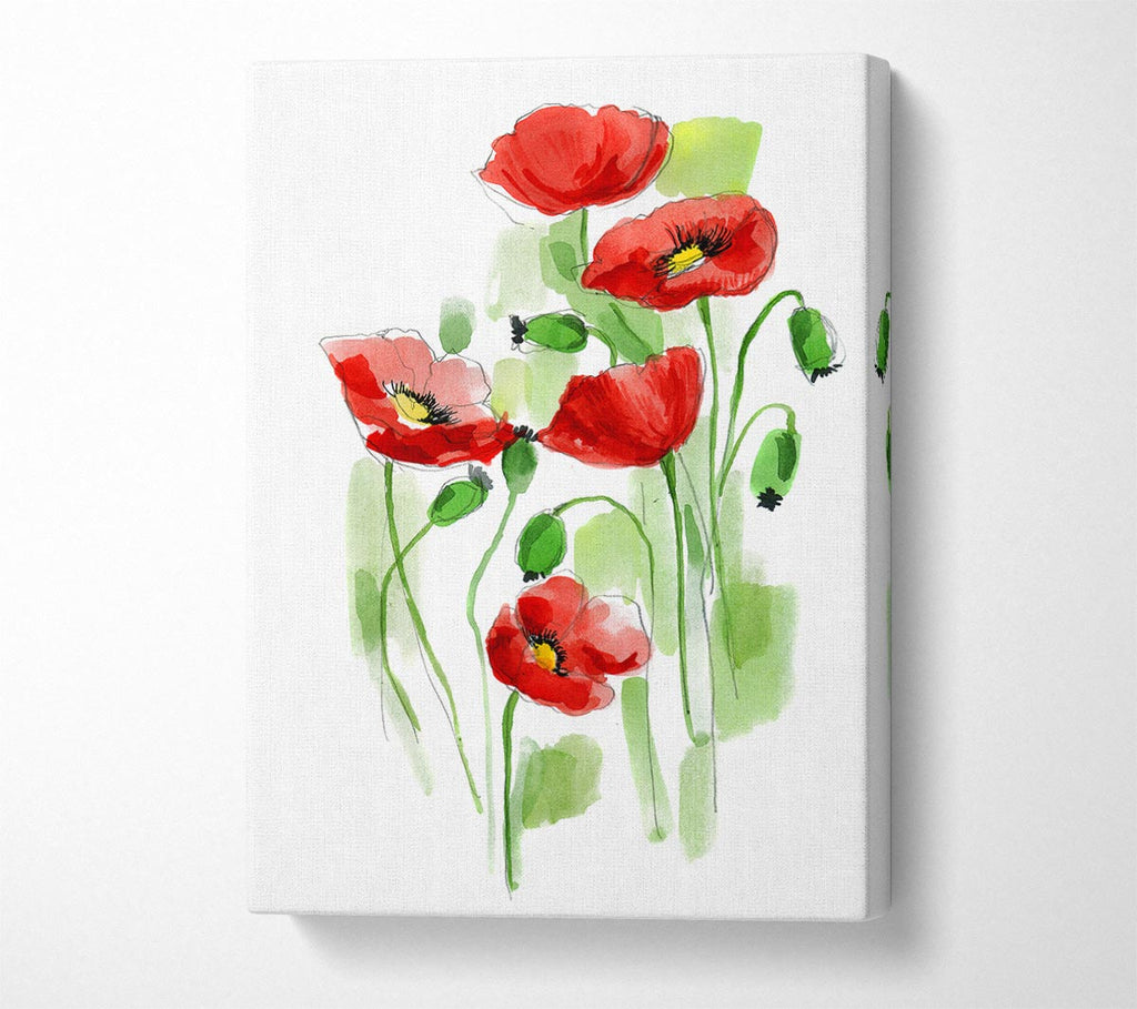 Picture of Poppies In Bloom Canvas Print Wall Art