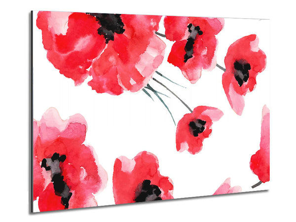 Nur Mohnblumen