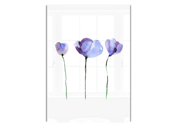 Immergrün vor der Blüte