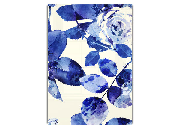 Blaue Schönheit