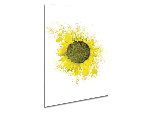 Sunflower Splash 2 Metal Print