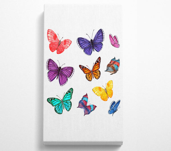 Rainbow Butterflies