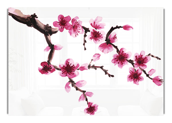 Branch Of A Cherry Blossom