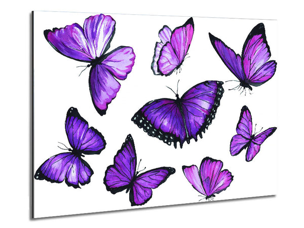 Purple Butterfly Frenzy