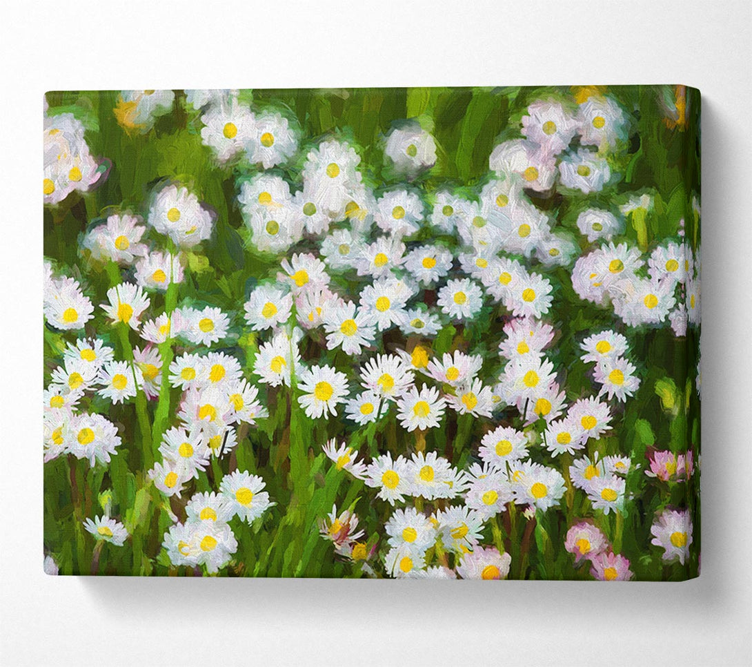 Picture of White Daisy Heaven Canvas Print Wall Art