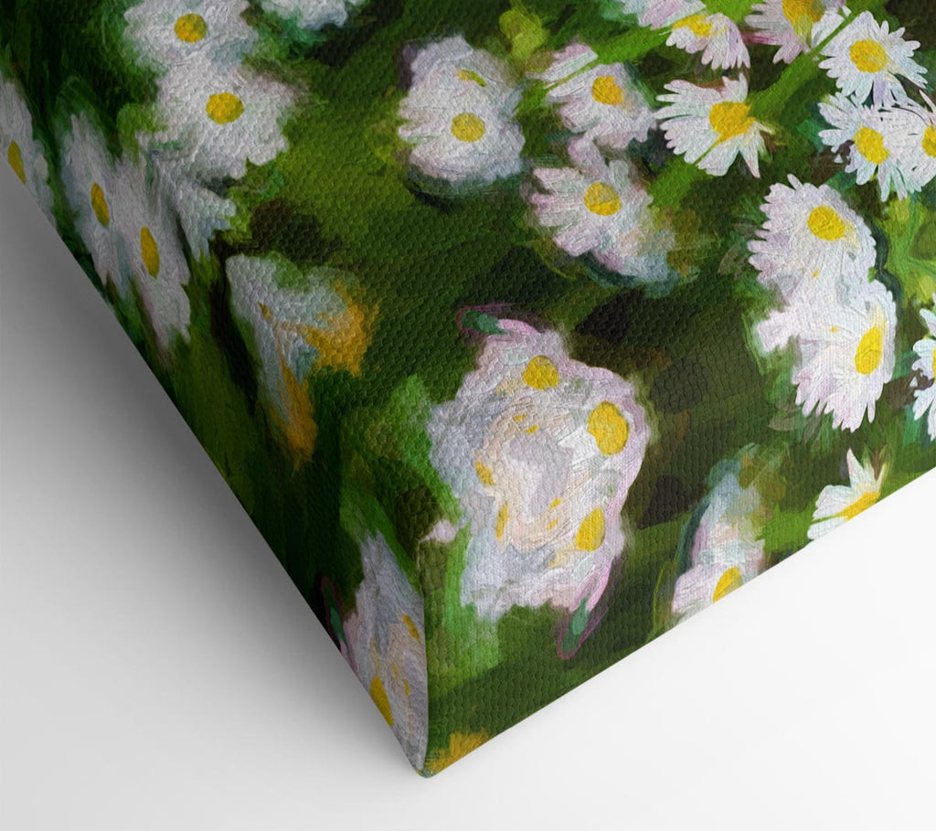 Picture of White Daisy Heaven Canvas Print Wall Art
