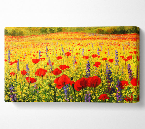 Mohn- und Ritterspornmagie