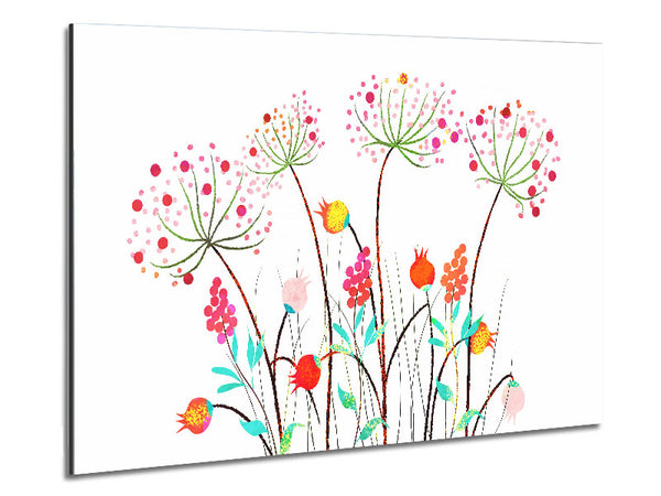 Farben der Wildblumen