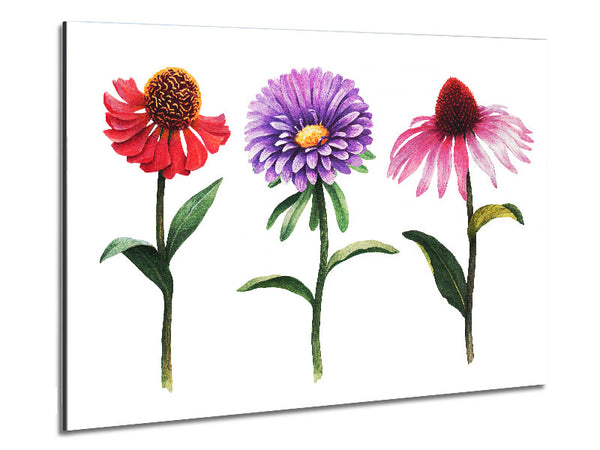 Trio Of Garden Flowers Metal Print